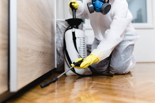 Best Bed Bug Extermination  in Holgate, OH