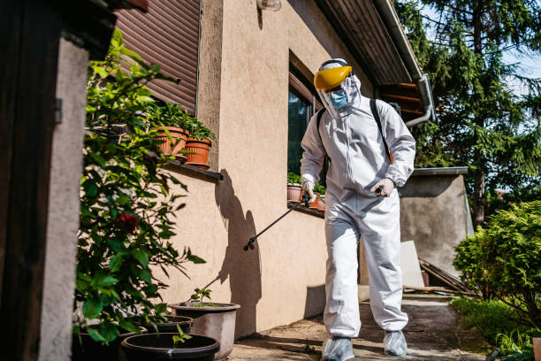 Best Pest Prevention Services  in Holgate, OH