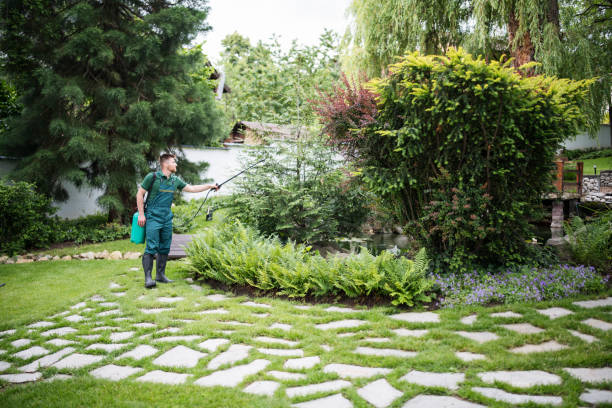 Trusted Holgate, OH Pest Control Experts
