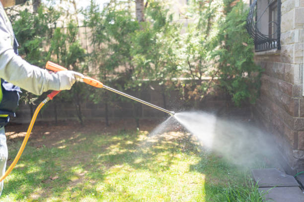 Best Residential Pest Control  in Holgate, OH