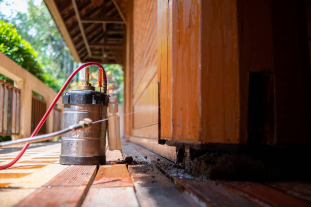 Pest Prevention Services in Holgate, OH