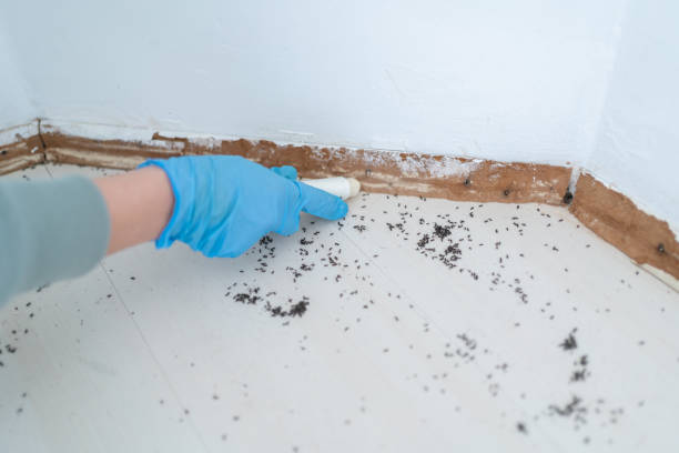 Best Commercial Pest Control Services  in Holgate, OH